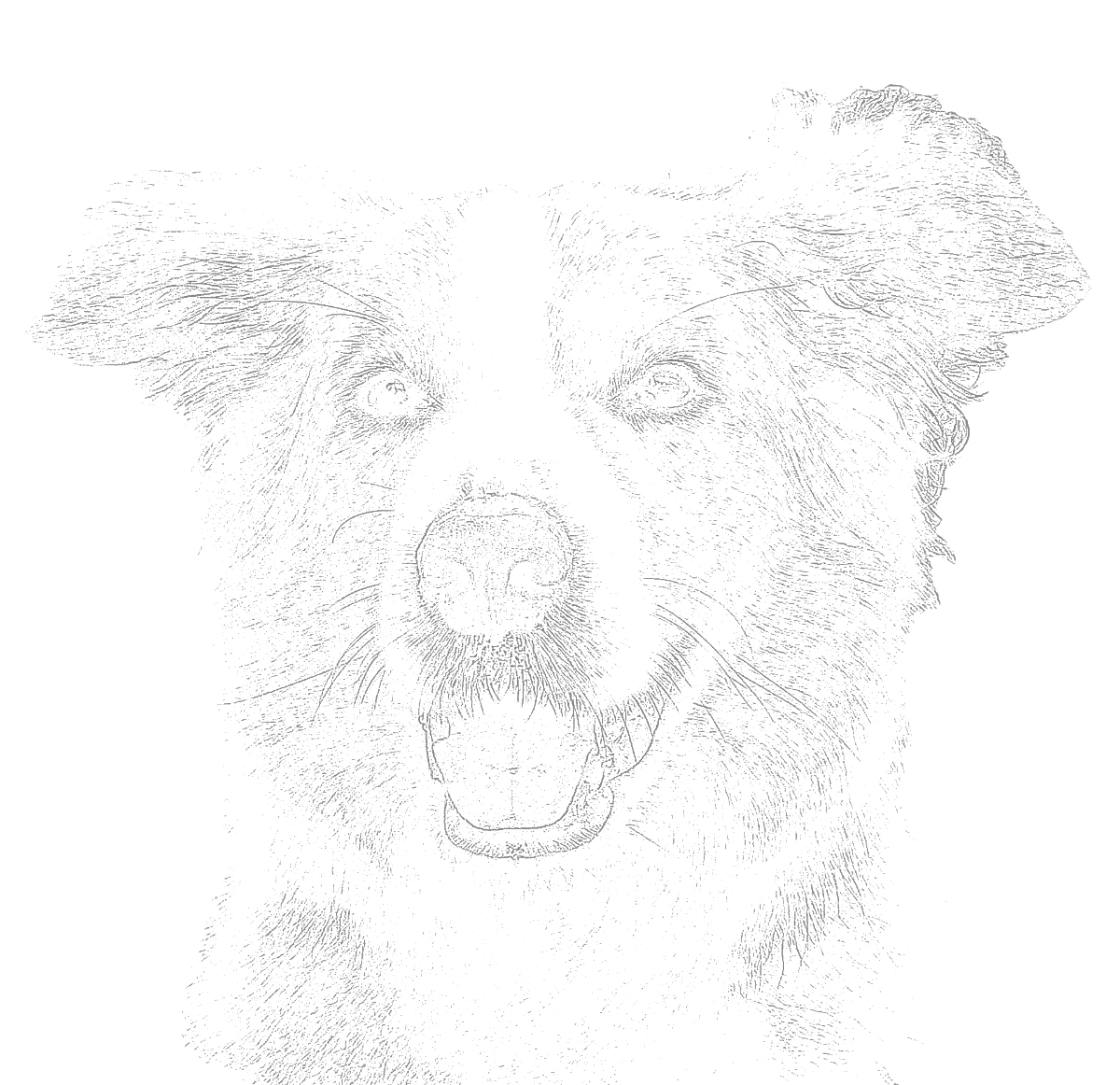 Tracing basics outline generated from this reference using Sketchso