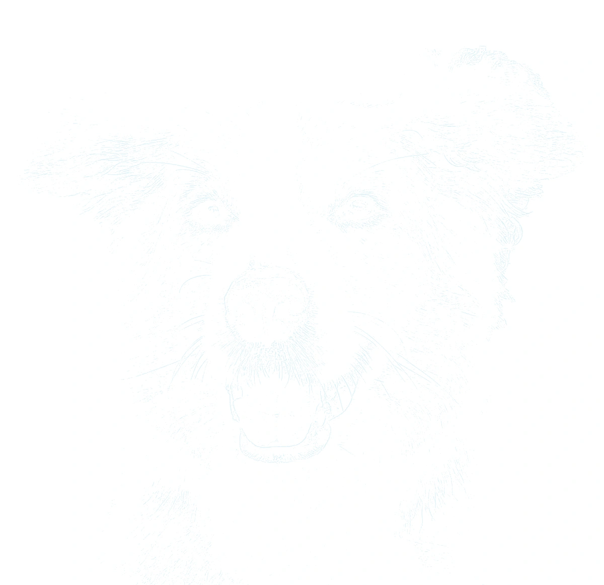 Watercolor outline generated from this reference using Sketchso